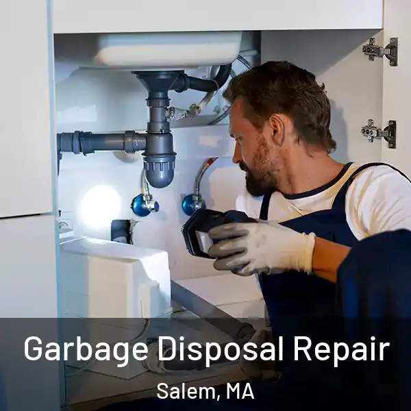  Garbage Disposal Repair Salem, MA